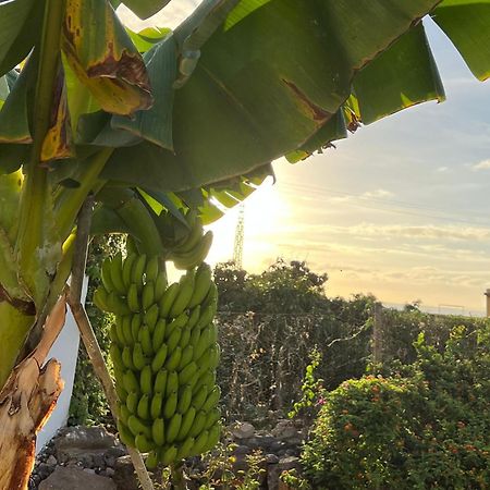 Villa Un Paraiso En Tenerife à Punta Del Hidalgo Extérieur photo